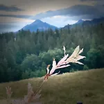 Jawor Zakopane