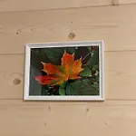 Casa vacanze Jawor