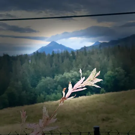 Jawor Dom wakacyjny *