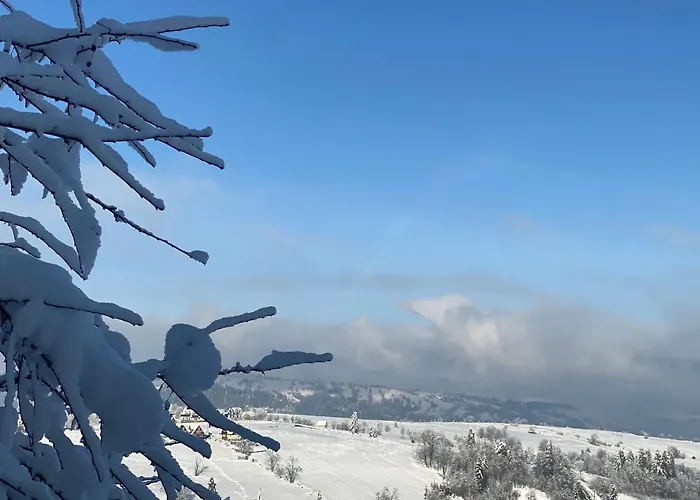 Casa vacanze Jawor *