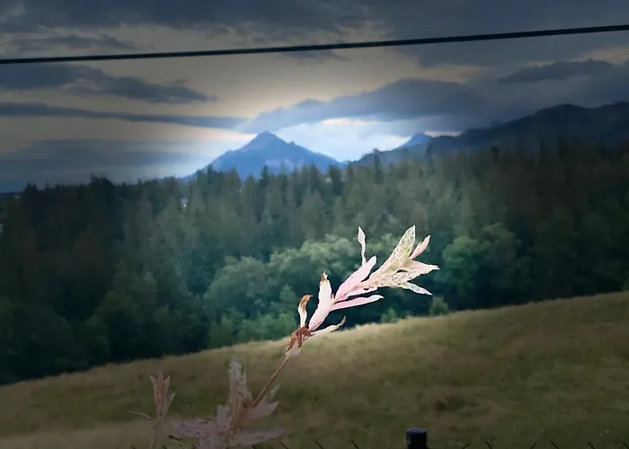 Jawor Casa vacanze *