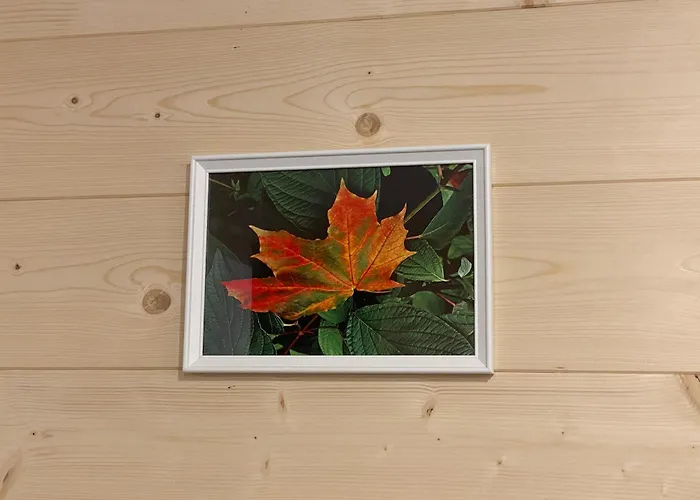 בית נופש Jawor